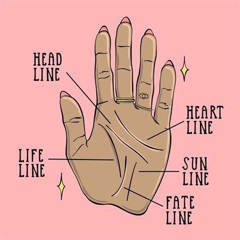 A Beginner's Guide to Reading Palms | Palm reading, Palm reading charts, Reading for beginners