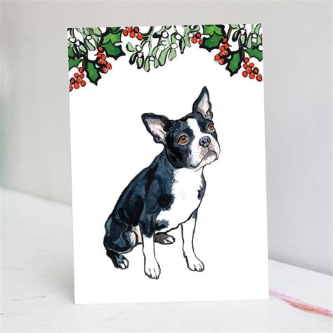 Boston Terrier Christmas Card By Pet Portrait Illustration
