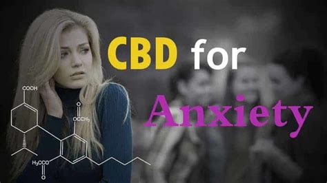 How (if at all) can it help alleviate anxiety? Cannabidiol & Hemp CBD Oil for Anxiety