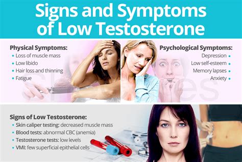 Signs And Symptoms Of Low Testosterone Shecares