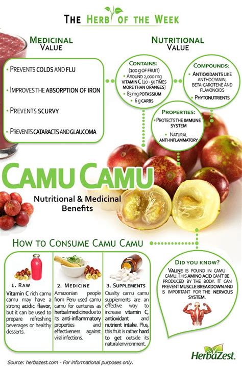 Herbazest Camu Camu Is The Best Source Of Vitamin C You Could Find