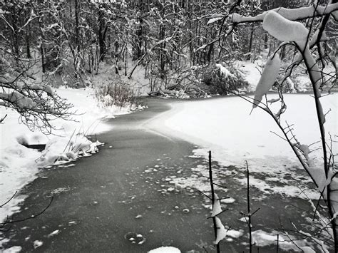 Free Images Tree Snow Winter Black And White River Ice Weather