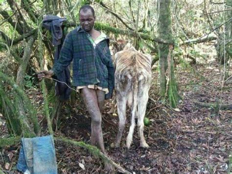 Kenyan Man Caught Having Sex With A Cow Says Girls Have Hiv Ghaflauganda