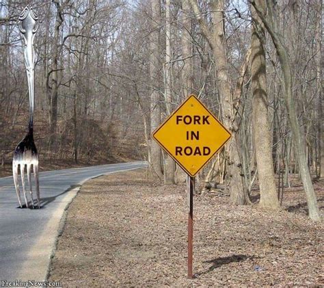 Fork In Road Funny Road Signs Road Signs Traffic Signs Pictures