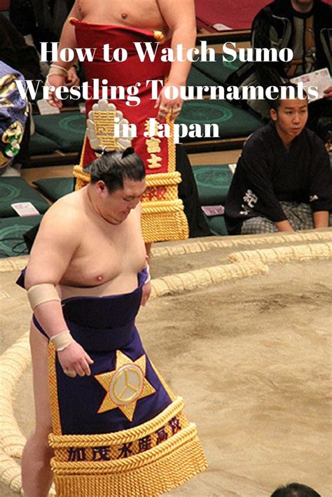How To Watch Sumo Wrestling Tournaments In Japan Wrestling