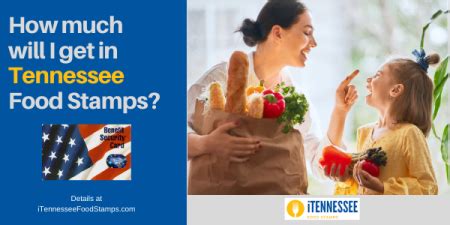 Learn how to apply for food stamps with our help. How much will I get in food stamps in Tennessee ...