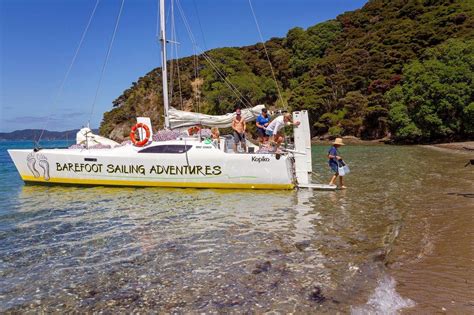Barefoot Sailing Adventures Paihia 2023 What To Know Before You Go