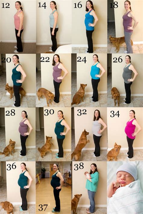Weekly Baby Bump Pictures 20 Ideas To Inspire — The