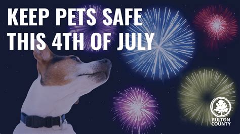 Lifeline Animal Project Shares Ways To Keep Pets Safe This July 4th