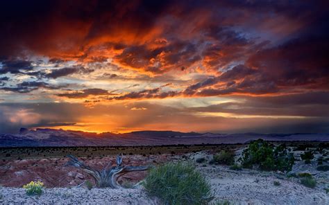 Sunset Desert Area Sand Bushes Landscape Wallpaper Hd 3840x2400 : Wallpapers13.com
