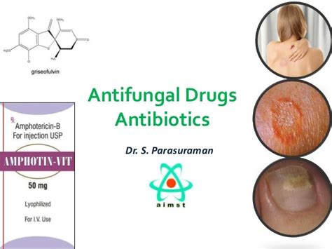 Introduction To Antifungal Drugs