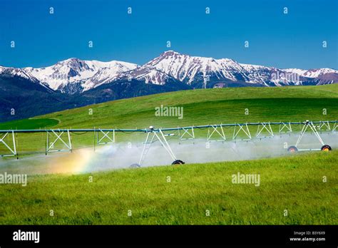 Irrigation Wheel In Pasture With Rainbow And Wallowa Mountains Wallowa