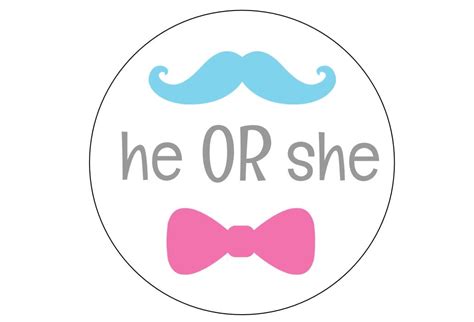12 He Or She Stickers Gender Reveal Team He Team She