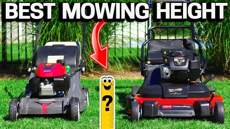 How Tall Should You Mow Your Lawn Perfect Height Youtube