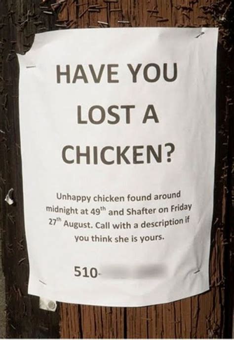 Funny Lost And Found Signs 30 Pics Funny Signs