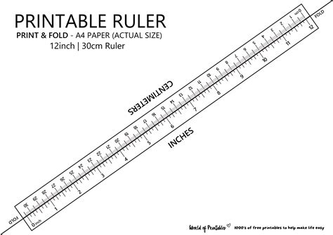 Printable Rulers Free Downloadable 12 Rulers Anthropo