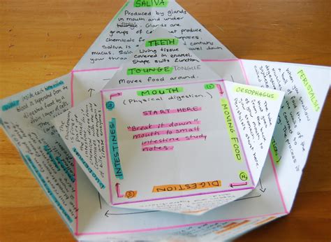 Years ago a student of mine was using some small cards held together with a clip. Ol Mother Hubbard: Study Star- Revision Idea