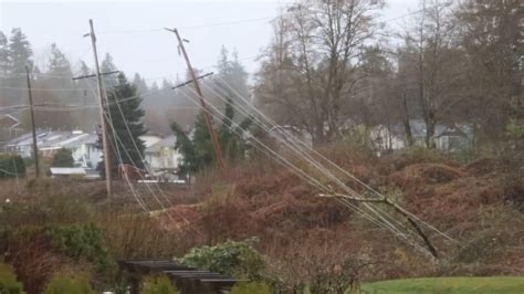 Spring Wind Storm Knocks Down Trees And Leaves Tens Of Thousands In The