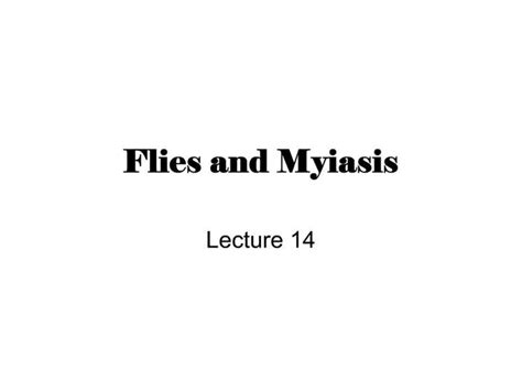 Ppt Flies And Myiasis Powerpoint Presentation Free Download Id335188