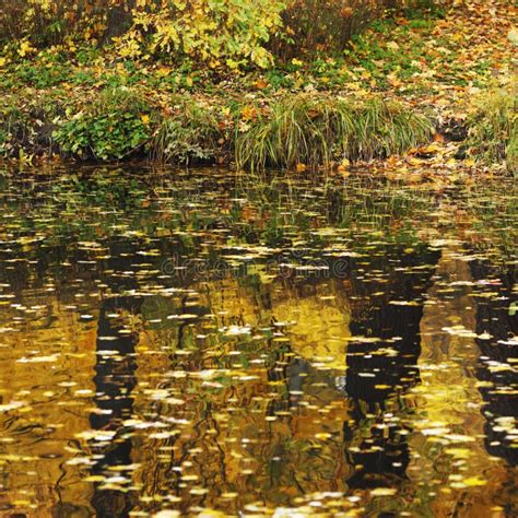 Autumn Pond Stock Photo Image Of Tree Beautiful Autumn 34388212