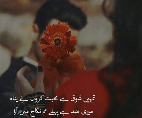 E471 halal ya haram urdu halal khao e471 youtube from i.ytimg.com its all about the halal concept and halal food.list of haram animal (unlawful) in urdu, arabic & english.halaal haraam animals in islam.islam dose not allow. Aaiba Keep it halal | Romantic poetry, Urdu poetry, Urdu ...
