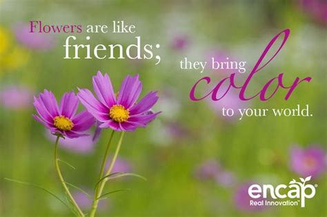 Share flower quotes with friends and family. Flowers are like friends; they bring color to your world ...