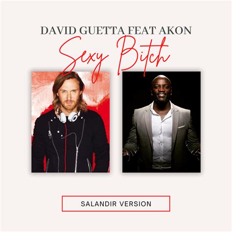 David Guetta Feat Akon Sexy Bitch Salandir Version Extended Salandir