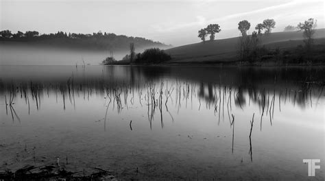 Foggy Lake Landscape Black And White Gallery Portfolio