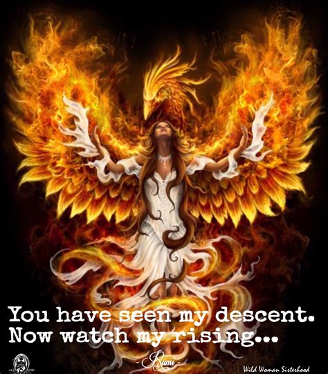 Dear dr.brenner, this morning i was telling myself i will rise like a phoenix from the ashes! it spoke to me just when i needed it. Pin on Rumi
