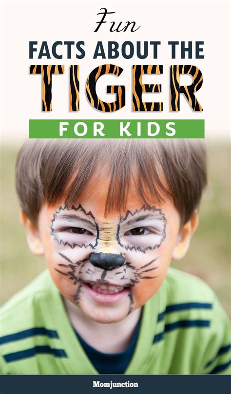 87 Interesting And Fun Tiger Facts For Kids Tiger Facts For Kids