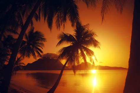 16 Beach Sunset Backgrounds Bed Room Designs Design Trends