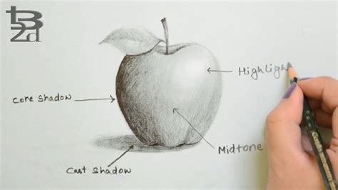 Https://tommynaija.com/draw/how To Draw A Apple With A Shadow