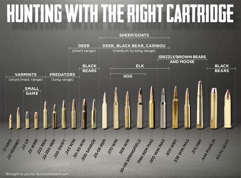Hunting Rifle Round Chart