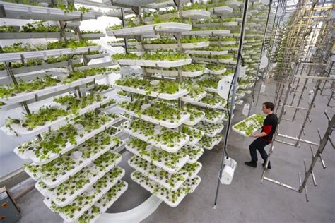 Largest Vertical Farm In The World Is Coming Soon To Dubai Stars Blvd