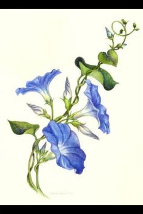 I'm actually pretty happy with this one, it's very minimalistic but i think it conveys. Pin by Susan McHugh on Ink (With images) | Vine drawing ...
