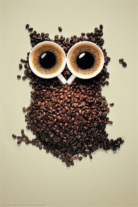 Download Coffee Owl Wallpaper Gallery