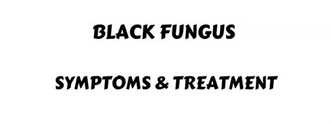 Black Fungus And Its Symptoms And Treatment Black Fungus Wiki