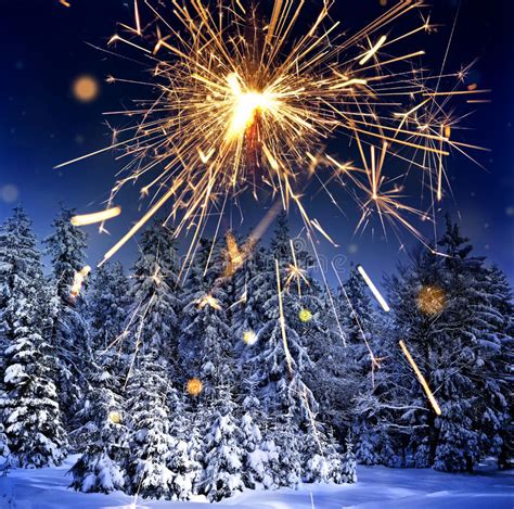 Snow Covered Spruce Trees And Sparkler Christmas Stock Image Image