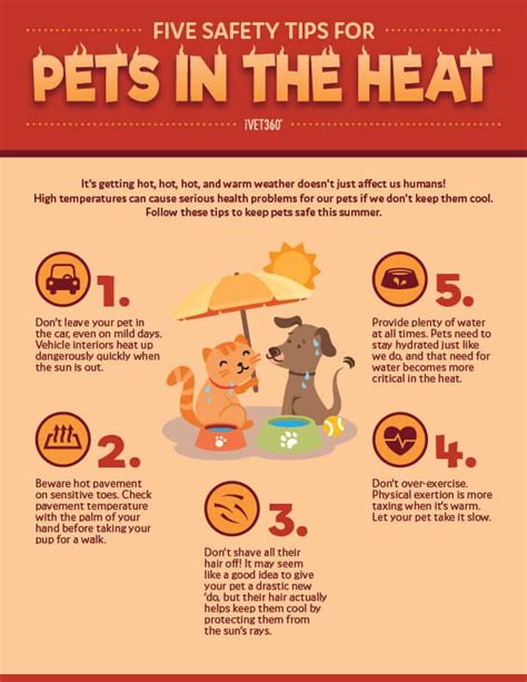5 Safety Tips For Pets In The Heat Infographic Pet Emergency Foods