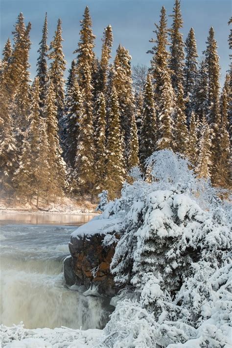 Wallpaper Canada Manitoba Pisew Falls Trees Snow Winter 1920x1200