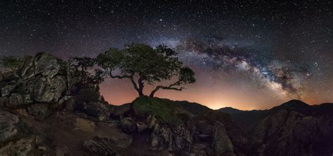 Nature Landscape Starry Night Milky Way Trees