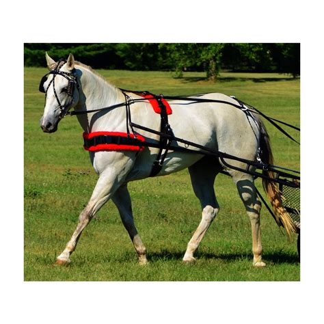 Two Horse Tack Biothane Harness With Silver Spots