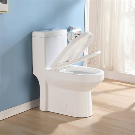 Horow 10 Dual Flush Elongated One Piece Toilets Bathroom Toilet