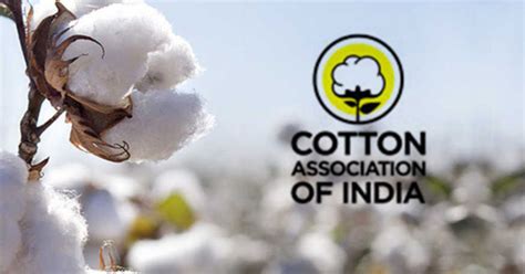 Cai Further Reduces Indias Cotton Production Estimate To 321 Lakh Bales