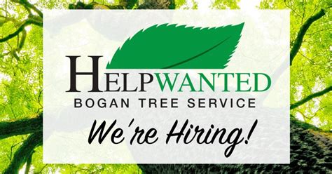 Bogan Tree Service Is Seeking Laborersarborist Trainees For Immediate