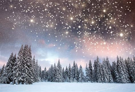 Shining Stars Winter Christmas Trees Backdrop For Photography Gx 1080