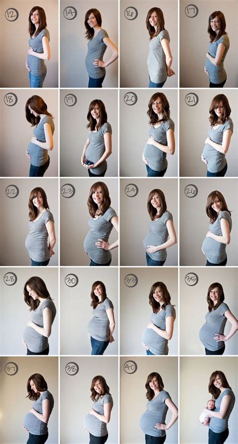 Pregnancy Weekly Progression Fotos Da Barriga De Gravidez Fotografia
