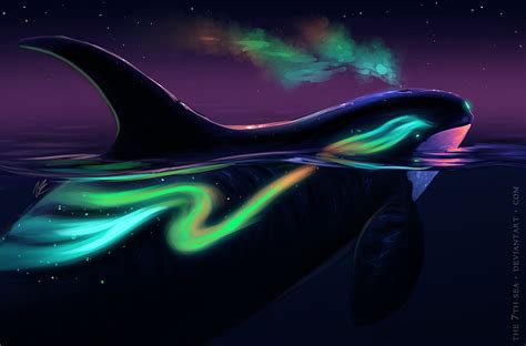 Boris Auroris By The7thsea On Deviantart Arte Orca Orca Art Dolphin