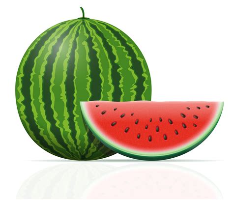 Watermelon Ripe Juicy Vector Illustration 493045 Vector Art At Vecteezy