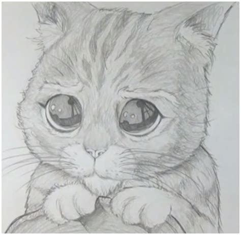 Dibujos De Unicornios Para Dibujar A Lapiz Desenhos Para Colorir Gato